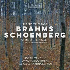 Sofya Melikyan, BRAHMS: PIANO TRIO NO. 1 - SCHOENBERG: VERKLARTE NACHT (ARR. EDUARD STEUERMANN), CD