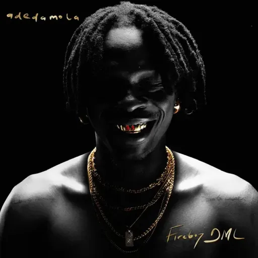 Fireboy DML, Adedamola Fireboy DML CD Album, CD