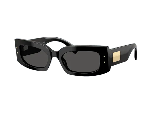 Dolce & Gabbana DG4479 501/87