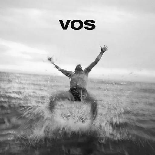 Various Artists, VOS, CD