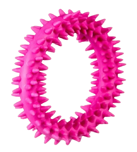 Barry King kruh pre šteňa XS 9,5 cm