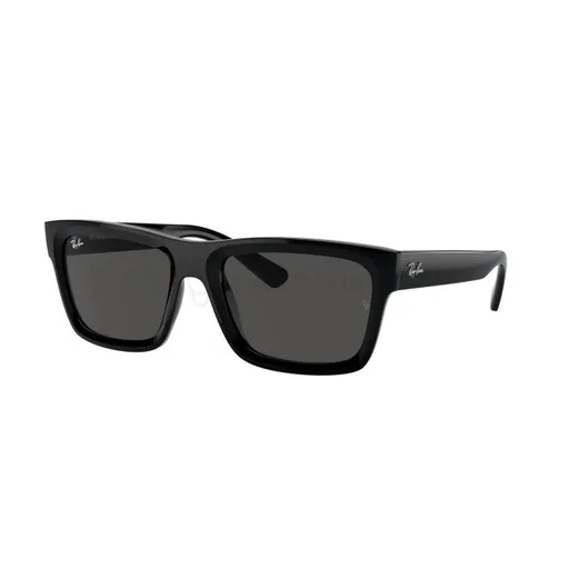 Ray-Ban Warren RB4396 667787 54