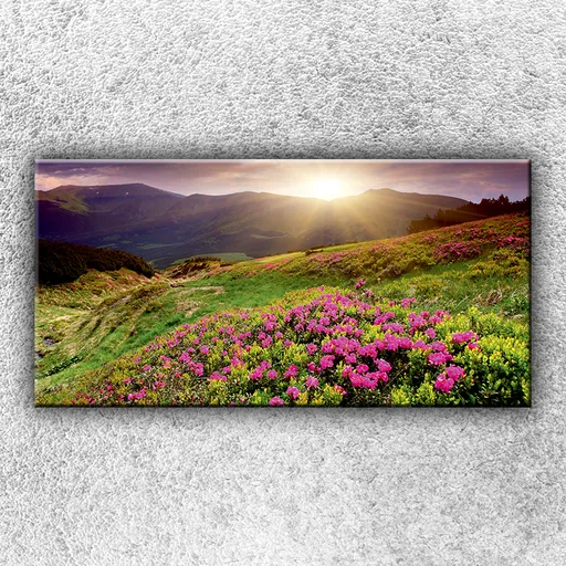 Foto na plátno Slnečná lúka 100x50 cm