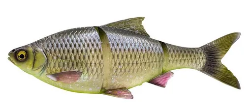 Savage gear gumová nástraha 3d line thru roach slow sinking hugo - 32 cm 420 g