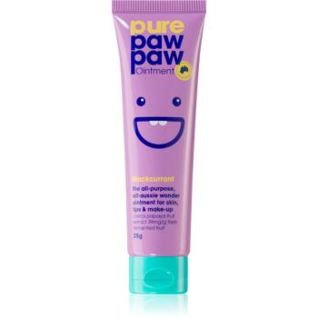 Pure Paw Paw Blackcurrant balzam na pery a suché miesta 25 g