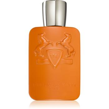 Parfums De Marly Althaïr parfumovaná voda pre mužov 125 ml