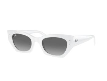 Ray-Ban Zena RB4430 675911