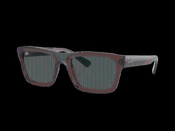 Ray-Ban Warren RB4396 667873
