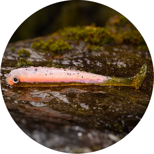 Redbass gumová nástraha ripper swimmer slim rainbow trout uv - s 70 mm