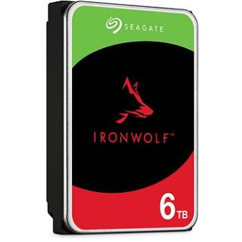 Seagate IronWolf 6TB CMR (ST6000VN001)