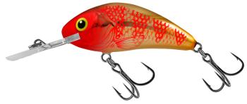 Salmo wobler rattlin hornet floating golden red head - 5,5 cm 10,5 g