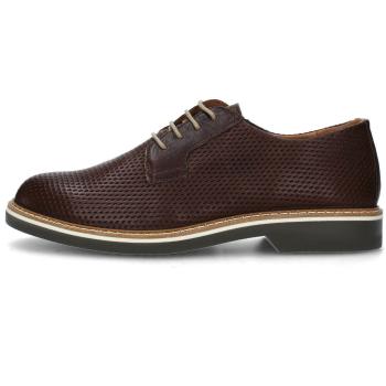 IgI&CO  5608811  Derbie Hnedá