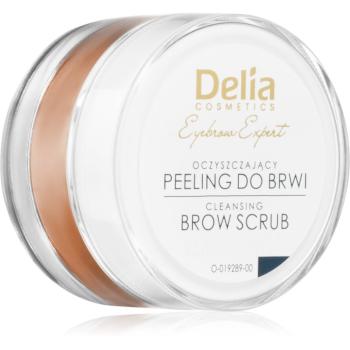 Delia Cosmetics Eyebrow Expert peeling na obočie 10 ml