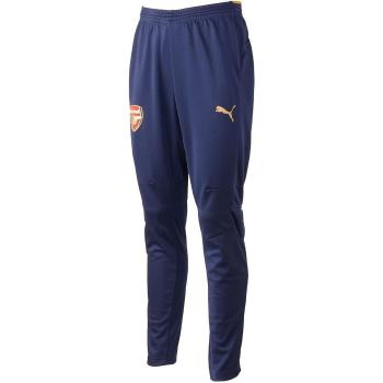 Puma  AFC TRAINING PANTS  Súpravy vrchného oblečenia Modrá