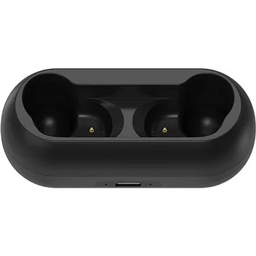 AlzaPower Shpunty čierne – dobíjacie puzdro (APW-BTESH1BC)