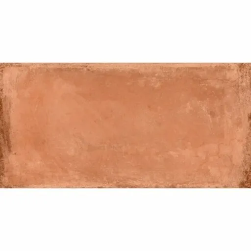 Dlažba Exagres Alhamar salmón 16x33 cm mat ALHAMAR1633SA