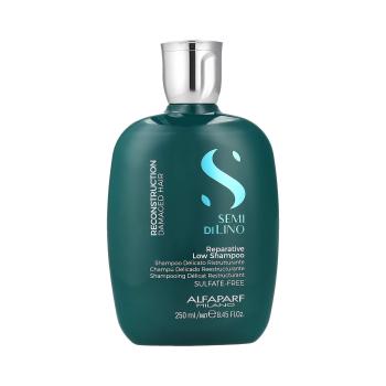 Alfaparf Milano Sdl Recon.Reparative Low Shampoo 250 ml