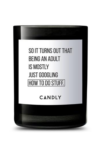 Candly - Voňavá sójová sviečka So it turns out that being an adult is mostly just googling hot to do stuff 250 g