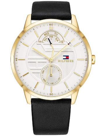 Pánske hodinky TOMMY HILFIGER 1791606 HUNTER (zf079a)