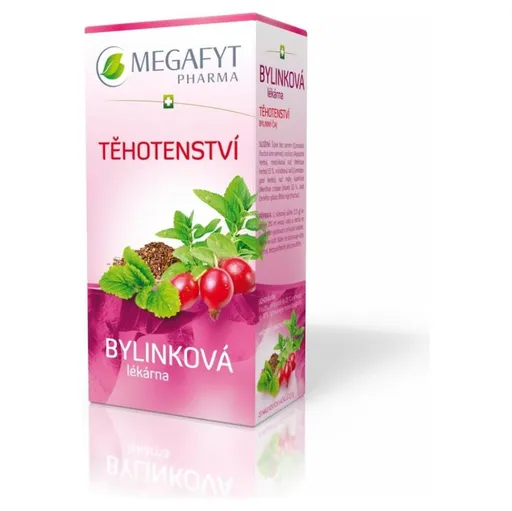 MEGAFYT Bylinková lekáreň tehotenstvo 20 x 1,5 g