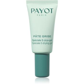 Payot Pâte Grise Spéciale 5 Cica-Gel lokálny gél na akné 15 ml