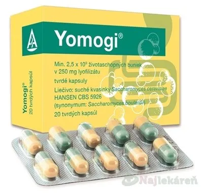 Yomogi na liečbu akútnej hnačky 250mg 20 kapsúl