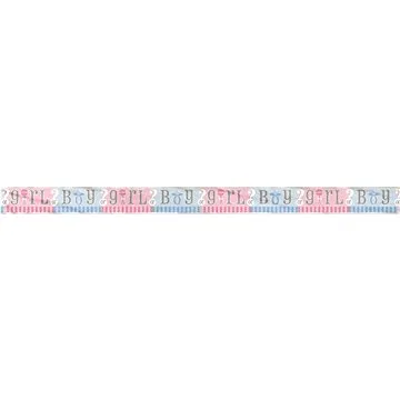 Banner – girlanda gender reveal „girl or boy – „dievča alebo chlapec – 365 cm (11179473984)