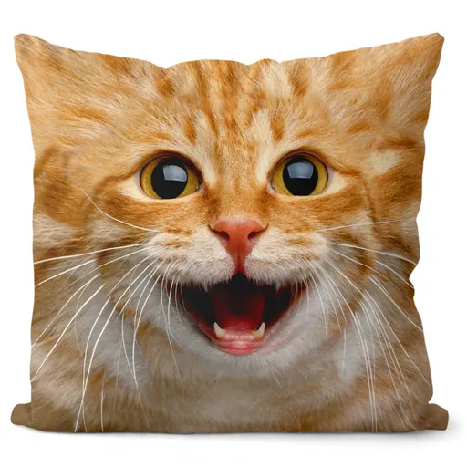 Vankúš Mačička ginger (Velikost: 40 x 40 cm)