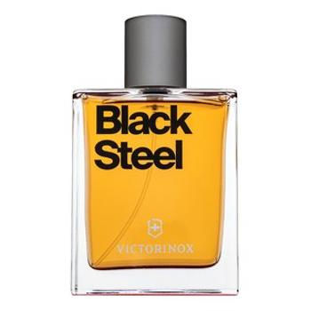 Swiss Army Black Steel toaletná voda pre mužov 100 ml