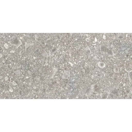 Dlažba Emil Lombarda grigio 60x120 cm mat EG89