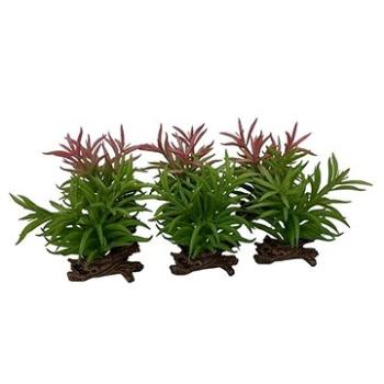 Ebi Terra Della Rastlina umelá Crassula mix farieb 16 cm (4047059465868)