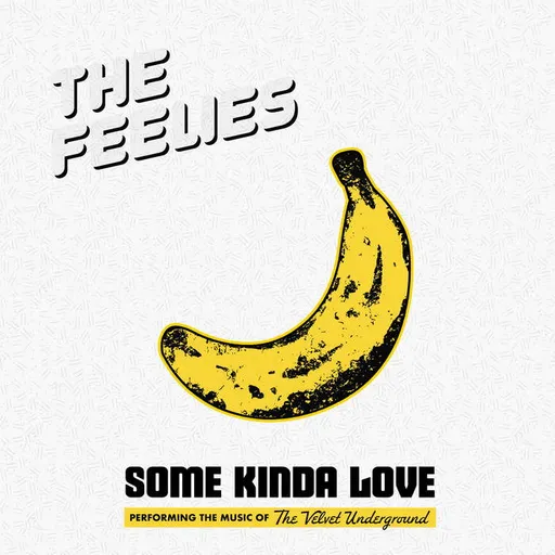 Some Kinda Love - The Feelies LP