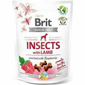 Brit Care Dog Crunchy Crack. Insec. Lamb Raspber 200g + Množstevná zľava
