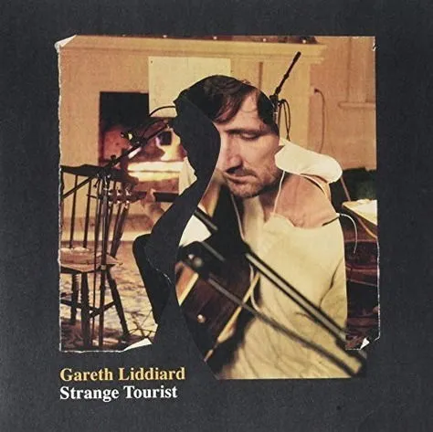 Strange Tourist - Gareth Liddiard LP