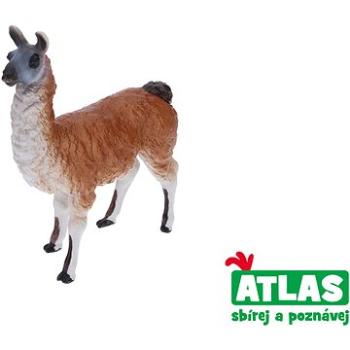 Atlas Lama (8590331019236)