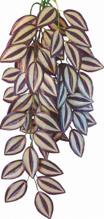 Happet TRADESCANTIA ZEBRINA 50cm - plastová rastlina do terária