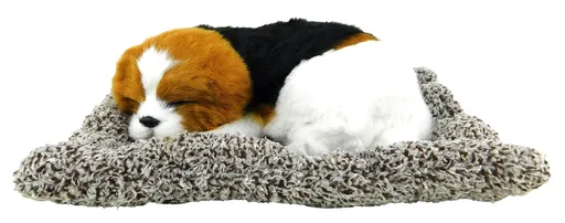 MAKRO - Pes spiaci na vankúši 27x20cm