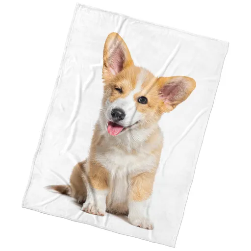 BedTex Deka mikroplyš Psie Veličenstvo, 150 x 200 cm