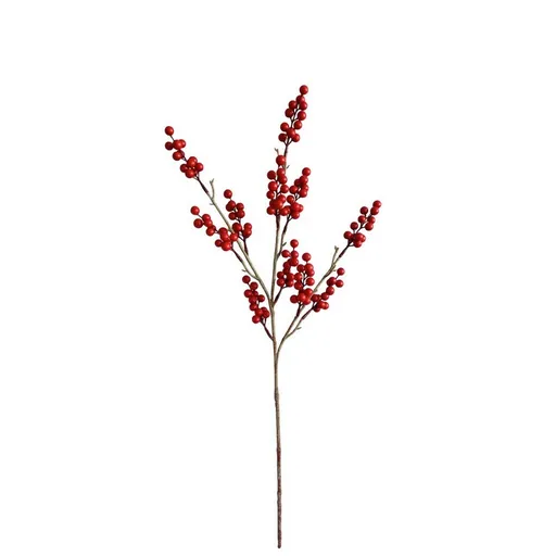 Vetvička s červenými bobuľami
