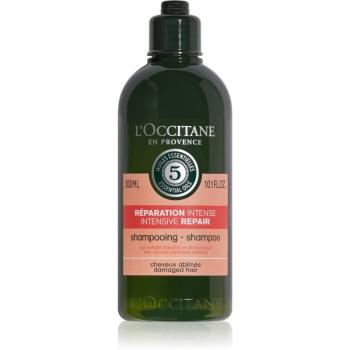 L’Occitane Aromachologie intenzívne regeneračný šampón pre suché a poškodené vlasy 300 ml