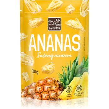 Farmland Ananas mrazom sušené ovocie 30 g