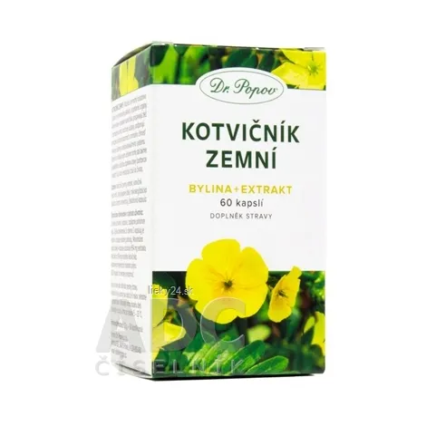 Dr. Popov KOTVIČNÍK ZEMNÝ