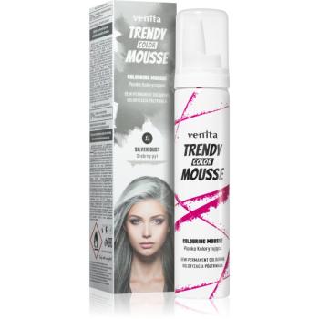 Venita Trendy Color Mousse farbiaca pena bez amoniaku odtieň No. 11 - Silver Dust 75 ml