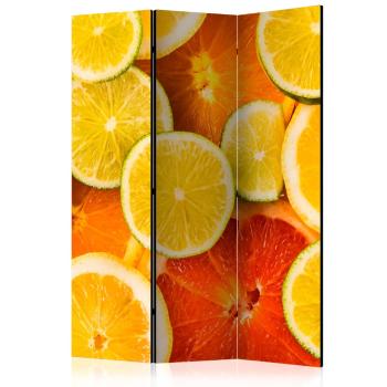 Paraván Citrus fruits Dekorhome 135x172 cm (3-dielny)