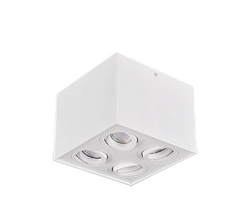 Stropné osvetlenie Trio Biscuit biela 613000431