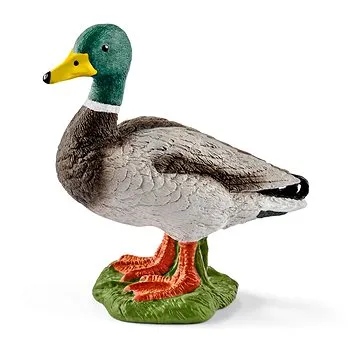 Schleich 13824 Zvieratko – káčer (4059433025544)