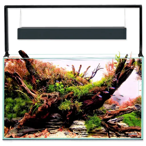Aquael Ultrascape 60 Forest 64,8 l