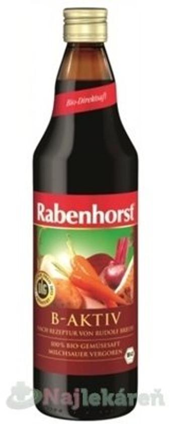 Rabenhorst B-AKTIV šťava  750 ml