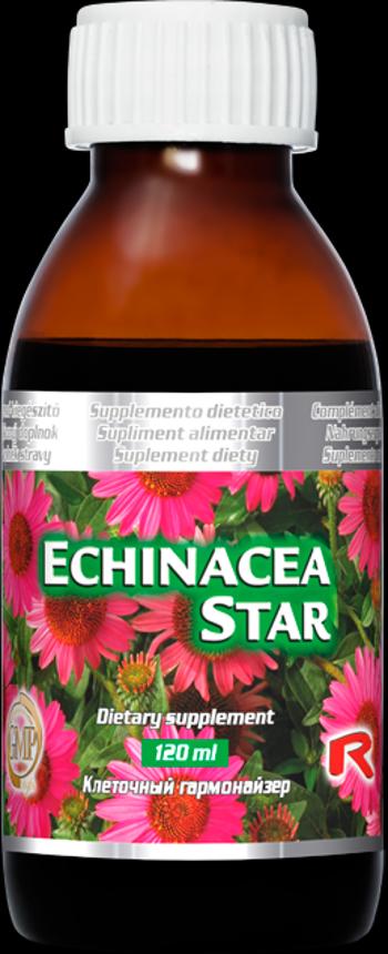 Echinacea Star