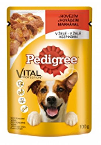 Pedigree kapsa Adult hovädzie mäso v želé 100g + Množstevná zľava